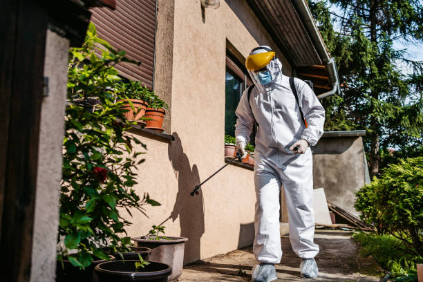 Best Cockroach Control Services  in Mcgraw, NY