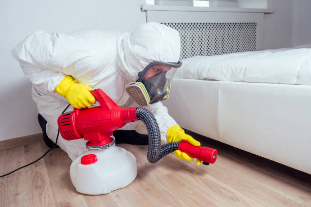 Best Pest Control Near Me  in Mcgraw, NY