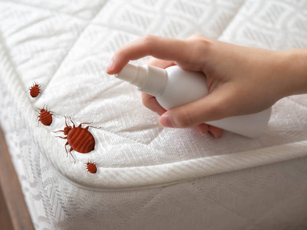 Best Pest Removal Services  in Mcgraw, NY