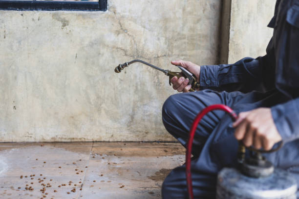 Best Wasp Removal Services  in Mcgraw, NY